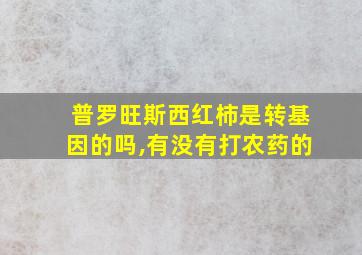 普罗旺斯西红柿是转基因的吗,有没有打农药的