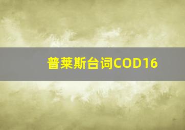 普莱斯台词COD16