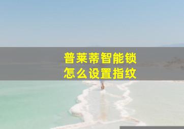 普莱蒂智能锁怎么设置指纹