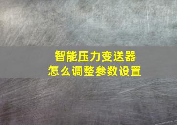 智能压力变送器怎么调整参数设置