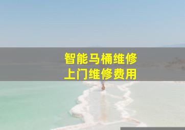 智能马桶维修上门维修费用