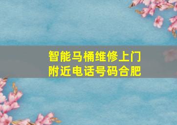 智能马桶维修上门附近电话号码合肥