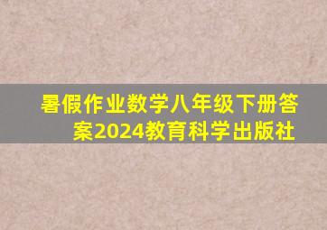 暑假作业数学八年级下册答案2024教育科学出版社