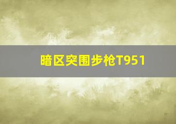 暗区突围步枪T951