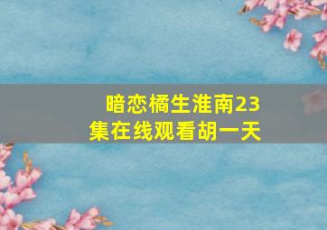 暗恋橘生淮南23集在线观看胡一天