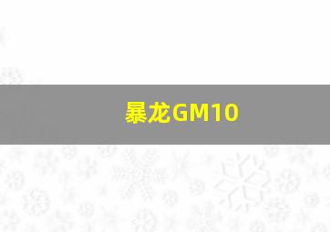 暴龙GM10