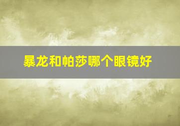 暴龙和帕莎哪个眼镜好