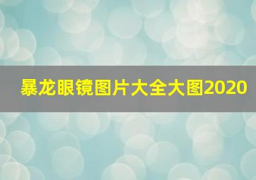 暴龙眼镜图片大全大图2020