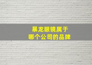 暴龙眼镜属于哪个公司的品牌