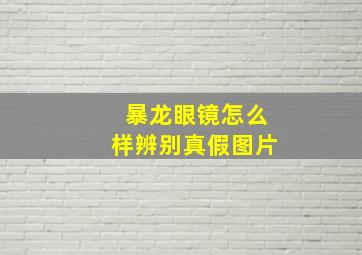 暴龙眼镜怎么样辨别真假图片