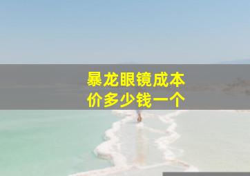 暴龙眼镜成本价多少钱一个