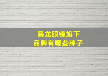 暴龙眼镜旗下品牌有哪些牌子