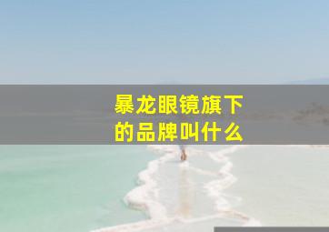 暴龙眼镜旗下的品牌叫什么