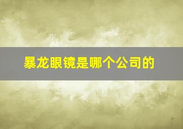 暴龙眼镜是哪个公司的