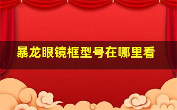 暴龙眼镜框型号在哪里看