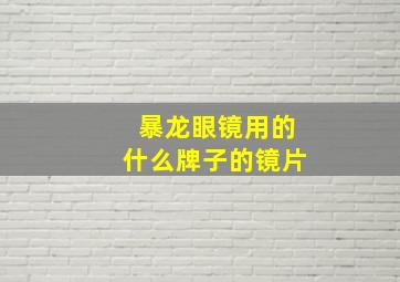 暴龙眼镜用的什么牌子的镜片