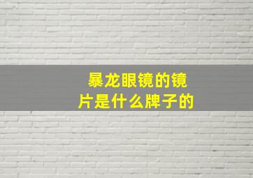 暴龙眼镜的镜片是什么牌子的