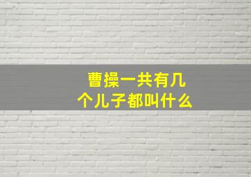 曹操一共有几个儿子都叫什么