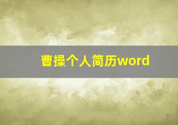 曹操个人简历word