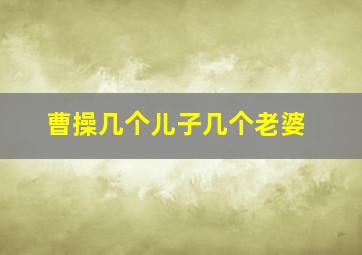 曹操几个儿子几个老婆