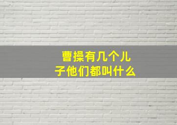 曹操有几个儿子他们都叫什么