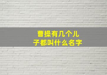 曹操有几个儿子都叫什么名字