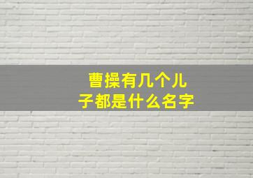 曹操有几个儿子都是什么名字