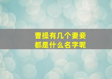 曹操有几个妻妾都是什么名字呢