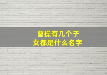 曹操有几个子女都是什么名字