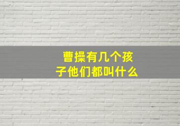 曹操有几个孩子他们都叫什么