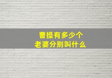 曹操有多少个老婆分别叫什么