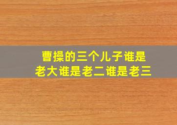 曹操的三个儿子谁是老大谁是老二谁是老三