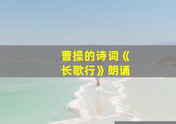 曹操的诗词《长歌行》朗诵