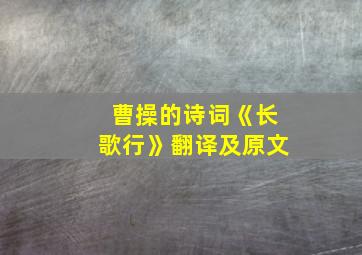 曹操的诗词《长歌行》翻译及原文