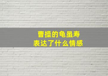 曹操的龟虽寿表达了什么情感