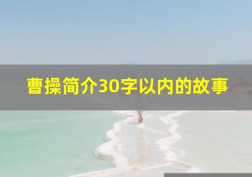 曹操简介30字以内的故事