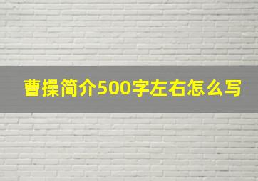 曹操简介500字左右怎么写