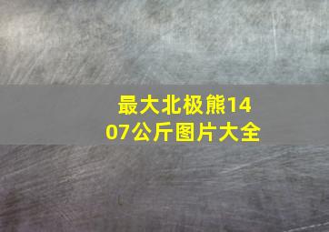 最大北极熊1407公斤图片大全