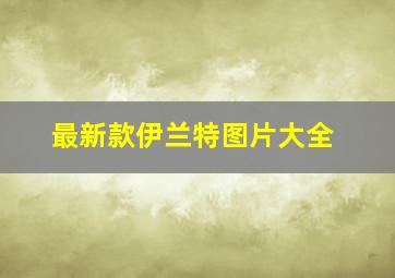 最新款伊兰特图片大全