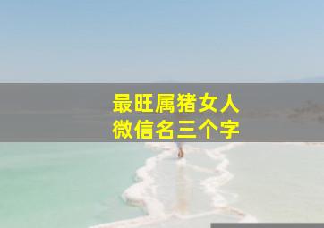 最旺属猪女人微信名三个字