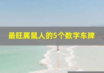 最旺属鼠人的5个数字车牌