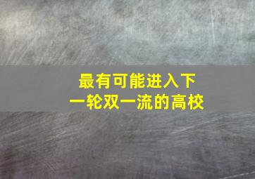 最有可能进入下一轮双一流的高校