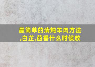 最简单的清炖羊肉方法,白芷,茴香什么时候放