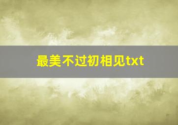 最美不过初相见txt