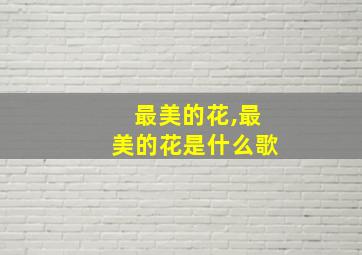 最美的花,最美的花是什么歌