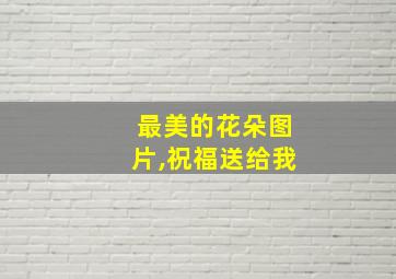 最美的花朵图片,祝福送给我