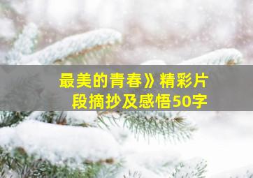 最美的青春》精彩片段摘抄及感悟50字