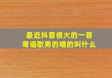 最近抖音很火的一首粤语歌男的唱的叫什么