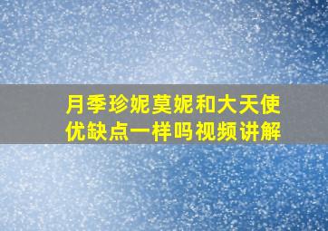 月季珍妮莫妮和大天使优缺点一样吗视频讲解