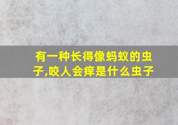 有一种长得像蚂蚁的虫子,咬人会痒是什么虫子